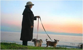 Canine Promenades Santa Cruz Dog walking Services